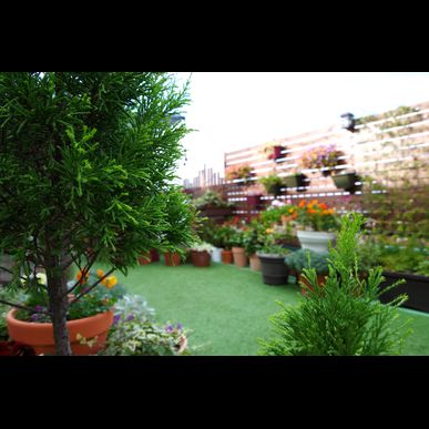 秋津のカフェ・風時計はペットとの同伴を歓迎しております